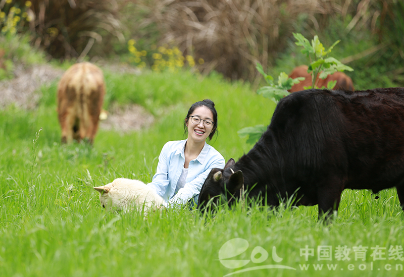 陳柳在放牛2 (1).jpg